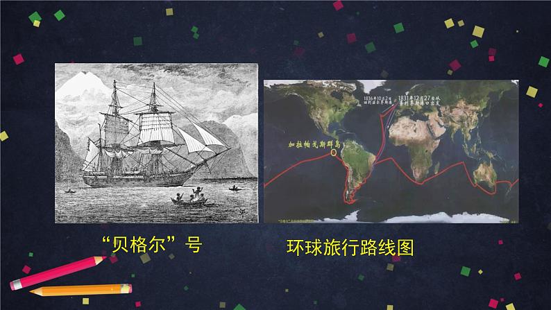 高一生物学(人教版2019)必修二 生物有共同祖先的证据  课件+教案+导学案+学习任务单+同步练习含答案04