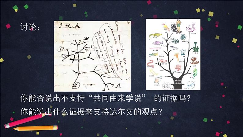 高一生物学(人教版2019)必修二 生物有共同祖先的证据  课件+教案+导学案+学习任务单+同步练习含答案07