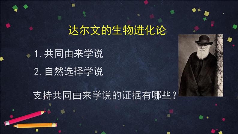 高一生物学(人教版2019)必修二 生物有共同祖先的证据  课件+教案+导学案+学习任务单+同步练习含答案08