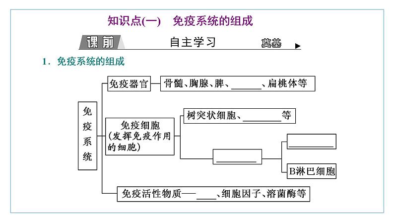 2021-2022学年高中生物新人教版选择性必修1 免疫系统的组成和功能 课件（34张）（鲁辽湘版）03