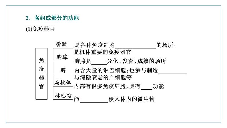 2021-2022学年高中生物新人教版选择性必修1 免疫系统的组成和功能 课件（34张）（鲁辽湘版）04