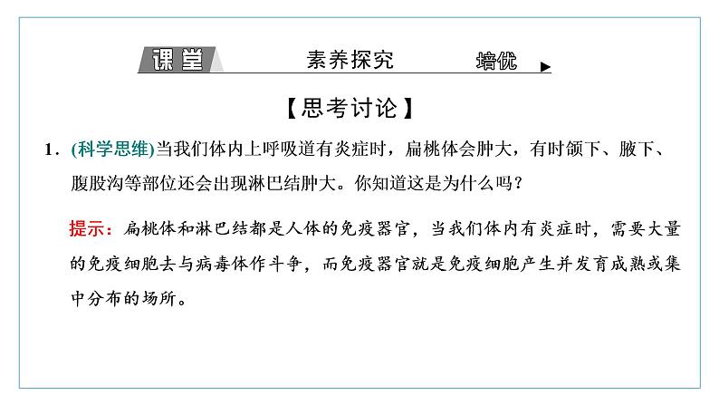 2021-2022学年高中生物新人教版选择性必修1 免疫系统的组成和功能 课件（34张）（鲁辽湘版）08