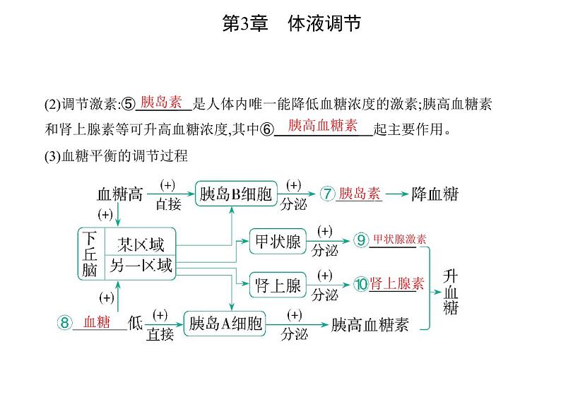 2021-2022学年高中生物新人教版选择性必修1 激素调节的过程（22张）  课件第3页