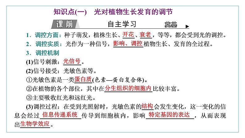 2021-2022学年高中生物新人教版选择性必修1 环境因素参与调节植物的生命活动 课件（28张）（鲁辽湘版）第3页