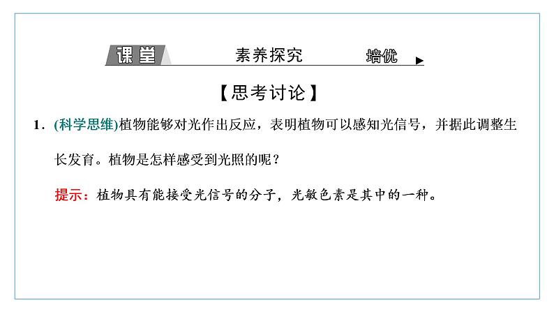 2021-2022学年高中生物新人教版选择性必修1 环境因素参与调节植物的生命活动 课件（28张）（鲁辽湘版）第5页