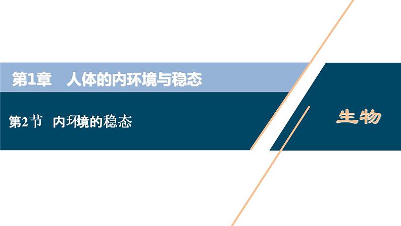 2021-2022学年高中生物新人教版选择性必修1 内环境的稳态（40张）课件01