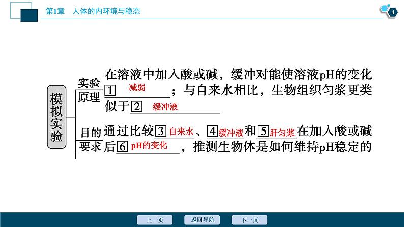 2021-2022学年高中生物新人教版选择性必修1 内环境的稳态（40张）课件05