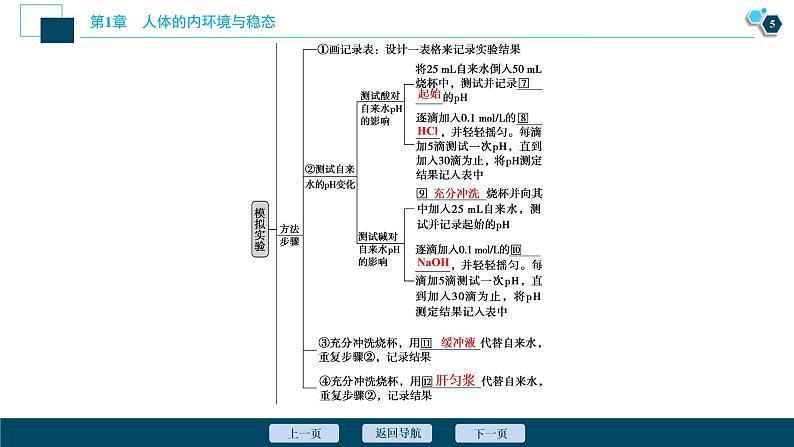 2021-2022学年高中生物新人教版选择性必修1 内环境的稳态（40张）课件06