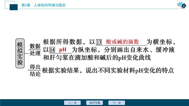 2021-2022学年高中生物新人教版选择性必修1 内环境的稳态（40张）课件07