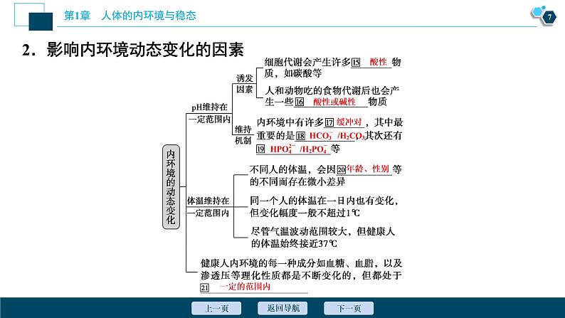 2021-2022学年高中生物新人教版选择性必修1 内环境的稳态（40张）课件08