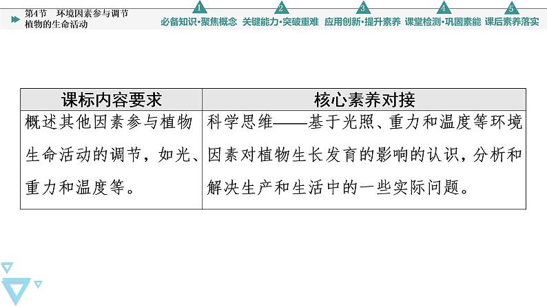 2021-2022学年高中生物新人教版选择性必修1 环境因素参与调节植物的生命活动（42张）  课件第2页