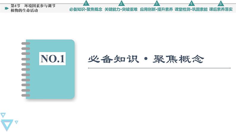 2021-2022学年高中生物新人教版选择性必修1 环境因素参与调节植物的生命活动（42张）  课件第3页