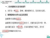 2021-2022学年高中生物新人教版选择性必修1 环境因素参与调节植物的生命活动（42张）  课件
