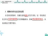 2021-2022学年高中生物新人教版选择性必修1 环境因素参与调节植物的生命活动（42张）  课件