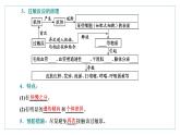 2021-2022学年高中生物新人教版选择性必修1 免疫失调 课件（34张）（鲁辽湘版）