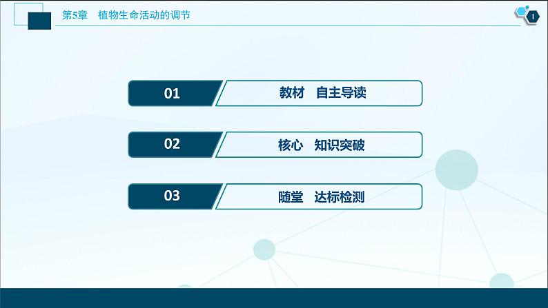 2021-2022学年高中生物新人教版选择性必修1 环境因素参与调节植物的生命活动（37张）课件02