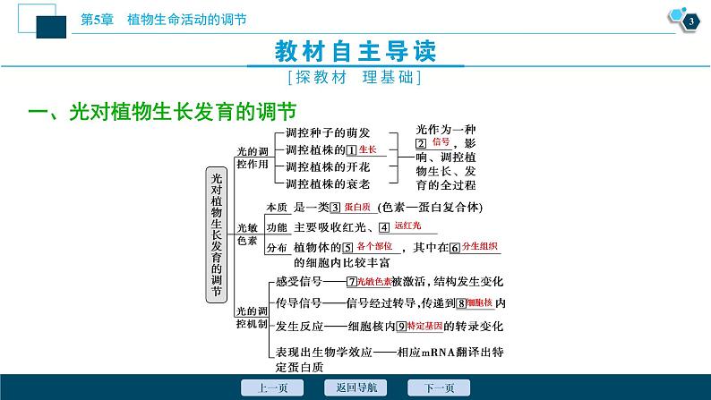 2021-2022学年高中生物新人教版选择性必修1 环境因素参与调节植物的生命活动（37张）课件04