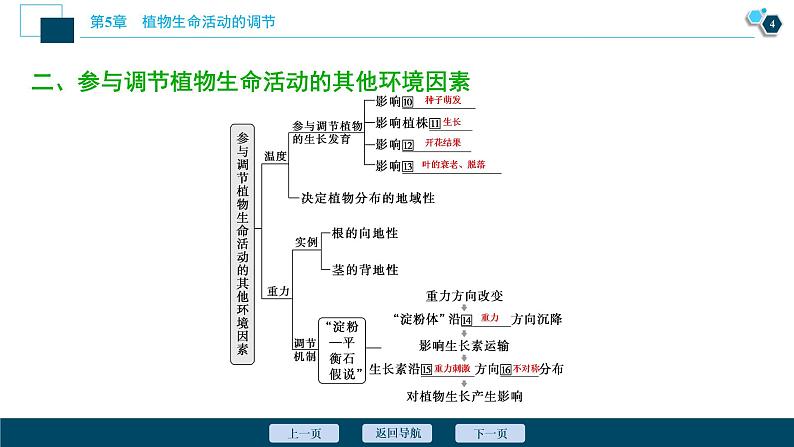 2021-2022学年高中生物新人教版选择性必修1 环境因素参与调节植物的生命活动（37张）课件05