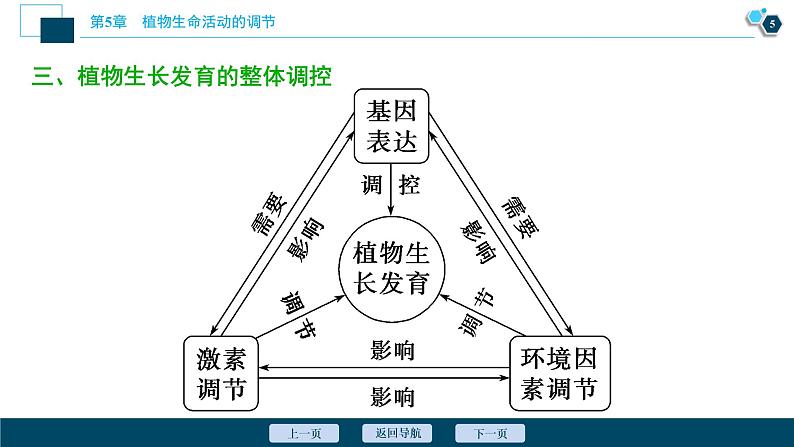 2021-2022学年高中生物新人教版选择性必修1 环境因素参与调节植物的生命活动（37张）课件06