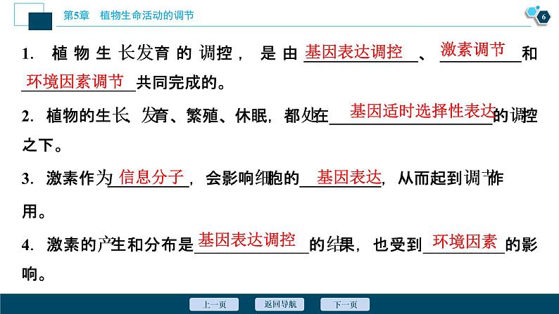 2021-2022学年高中生物新人教版选择性必修1 环境因素参与调节植物的生命活动（37张）课件07