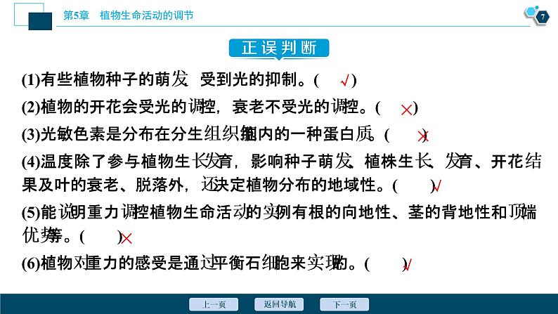 2021-2022学年高中生物新人教版选择性必修1 环境因素参与调节植物的生命活动（37张）课件08