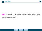 2021-2022学年高中生物新人教版选择性必修1 免疫学的应用（32张）课件
