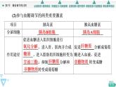 2021-2022学年高中生物新人教版选择性必修1 激素调节的过程（51张）  课件