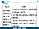 2021-2022学年高中生物新人教版选择性必修1 免疫失调（33张）课件