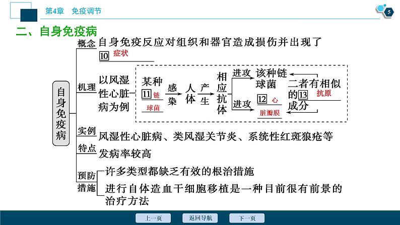 2021-2022学年高中生物新人教版选择性必修1 免疫失调（33张）课件第6页