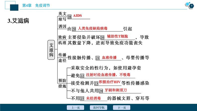 2021-2022学年高中生物新人教版选择性必修1 免疫失调（33张）课件第8页