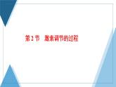 2021-2022学年高中生物新人教版选择性必修1 激素调节的过程 课件（46张）（鲁辽湘版）