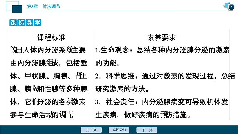 2021-2022学年高中生物新人教版选择性必修1 激素与内分泌系统（46张）课件第3页