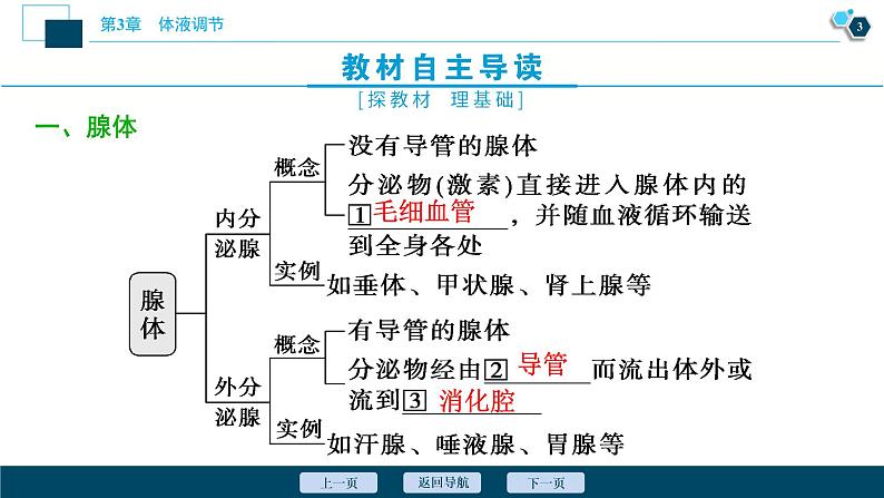 2021-2022学年高中生物新人教版选择性必修1 激素与内分泌系统（46张）课件第4页