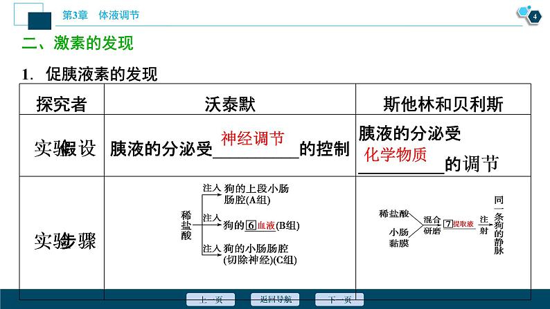 2021-2022学年高中生物新人教版选择性必修1 激素与内分泌系统（46张）课件第5页