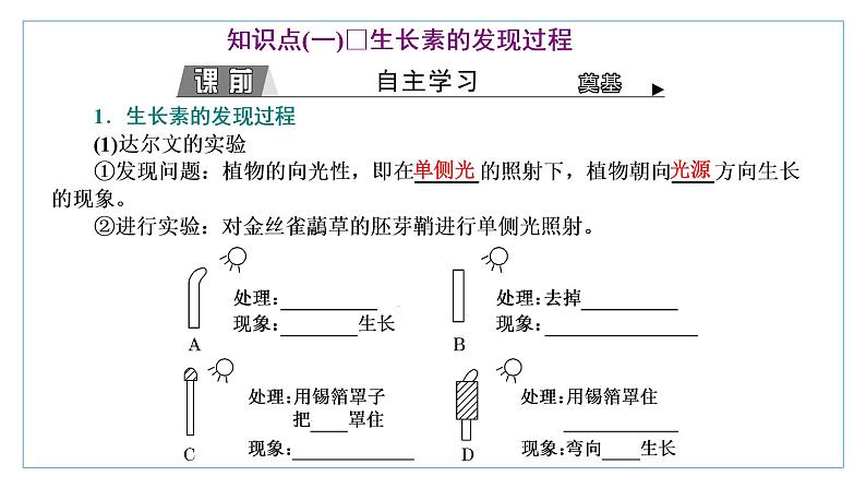 2021-2022学年高中生物新人教版选择性必修1 植物生长素 课件（62张）（鲁辽湘版）第3页