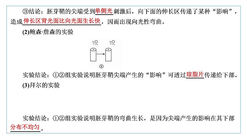 2021-2022学年高中生物新人教版选择性必修1 植物生长素 课件（62张）（鲁辽湘版）第4页