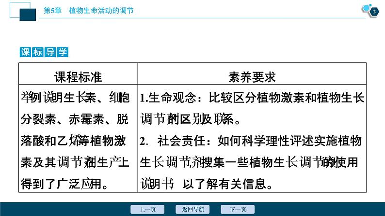 2021-2022学年高中生物新人教版选择性必修1 植物生长调节剂的应用（37张）课件03