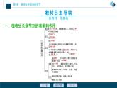 2021-2022学年高中生物新人教版选择性必修1 植物生长调节剂的应用（37张）课件