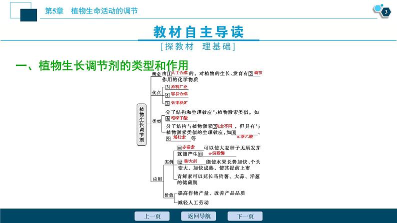 2021-2022学年高中生物新人教版选择性必修1 植物生长调节剂的应用（37张）课件04