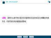 2021-2022学年高中生物新人教版选择性必修1 植物生长调节剂的应用（37张）课件