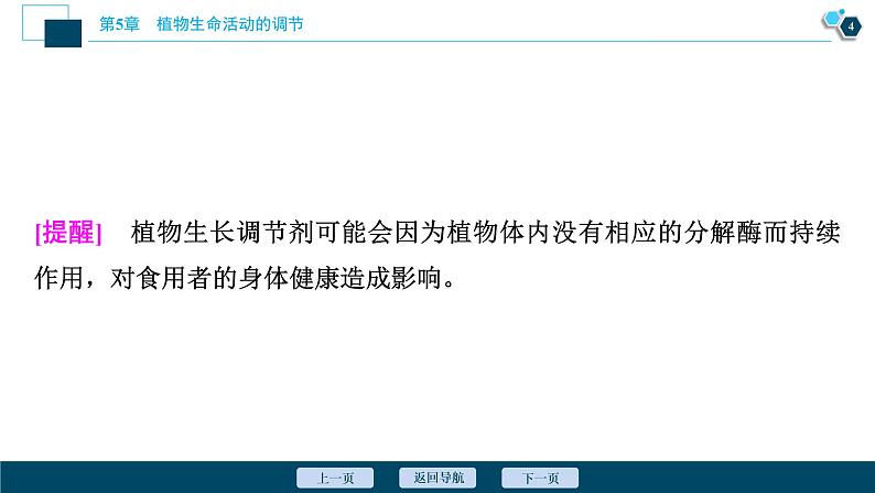 2021-2022学年高中生物新人教版选择性必修1 植物生长调节剂的应用（37张）课件05