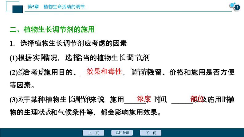 2021-2022学年高中生物新人教版选择性必修1 植物生长调节剂的应用（37张）课件06