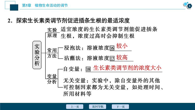 2021-2022学年高中生物新人教版选择性必修1 植物生长调节剂的应用（37张）课件07