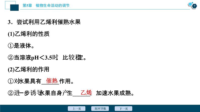 2021-2022学年高中生物新人教版选择性必修1 植物生长调节剂的应用（37张）课件08