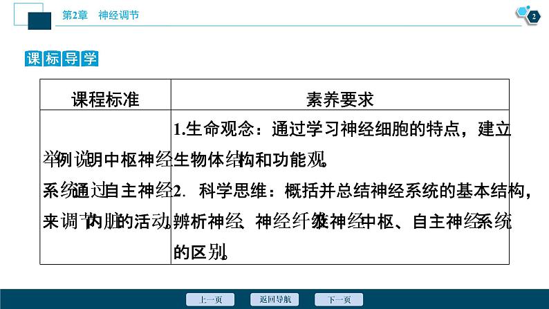 2021-2022学年高中生物新人教版选择性必修1 神经调节的结构基础（34张）课件第3页