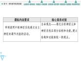 2021-2022学年高中生物新人教版选择性必修1 神经调节的结构基础（42张）  课件