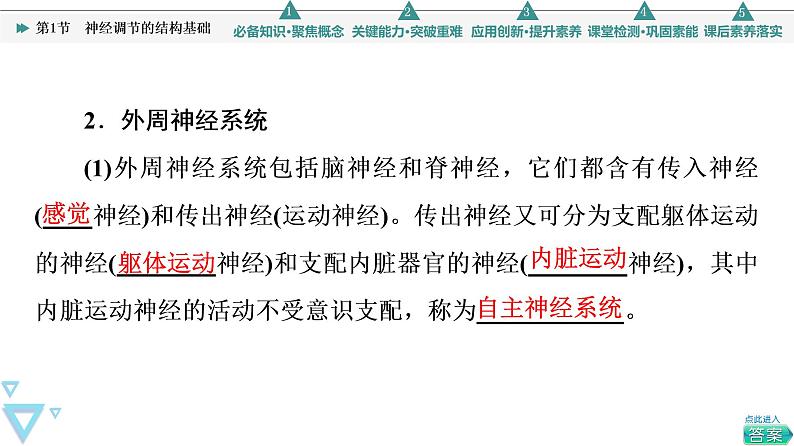 2021-2022学年高中生物新人教版选择性必修1 神经调节的结构基础（42张）  课件06