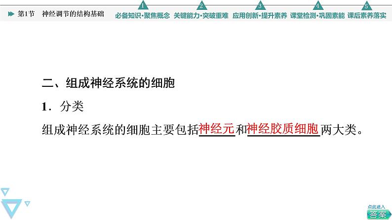 2021-2022学年高中生物新人教版选择性必修1 神经调节的结构基础（42张）  课件08