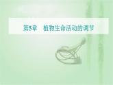 2021-2022学年高中生物新人教版选择性必修1 第5章 第3节  植物生长调节剂的应用 课件（22张）