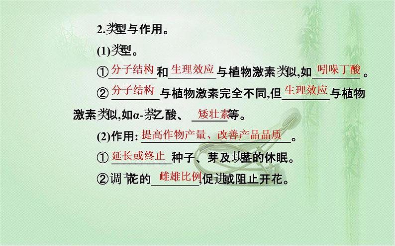 2021-2022学年高中生物新人教版选择性必修1 第5章 第3节  植物生长调节剂的应用 课件（22张）第4页